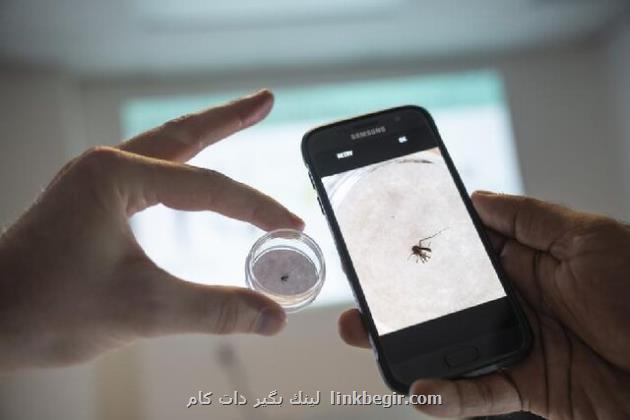 قابلیت هوش مصنوعی به گوشیهای میان رده سامسونگ اضافه می شود قابلیت هوش مصنوعی به گوشیهای میان رده سامسونگ اضافه می شود